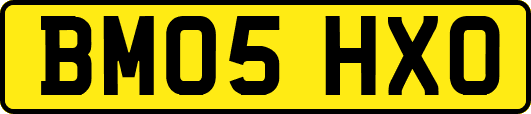 BM05HXO