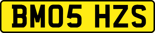 BM05HZS