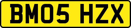 BM05HZX