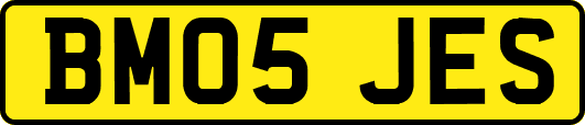 BM05JES