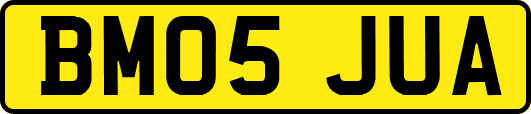 BM05JUA