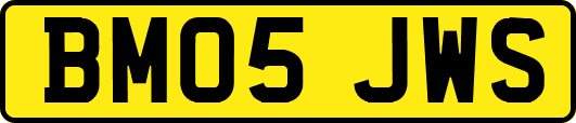 BM05JWS