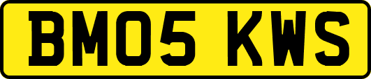 BM05KWS
