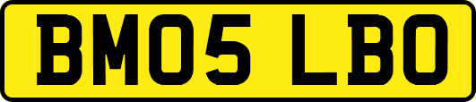 BM05LBO