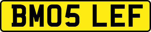 BM05LEF
