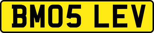 BM05LEV