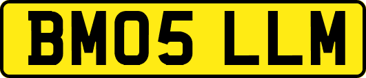 BM05LLM