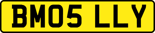 BM05LLY