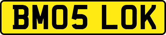BM05LOK