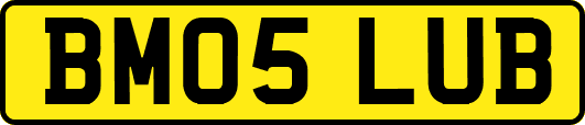 BM05LUB