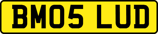 BM05LUD
