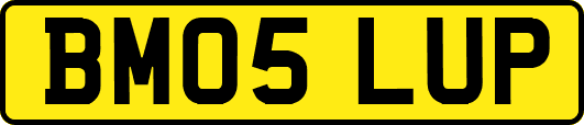 BM05LUP