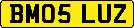 BM05LUZ