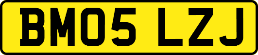 BM05LZJ