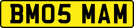 BM05MAM