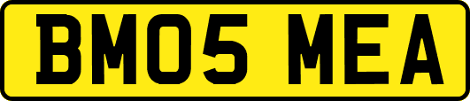 BM05MEA