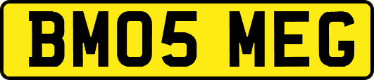 BM05MEG
