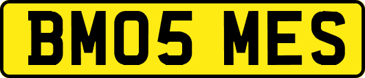 BM05MES