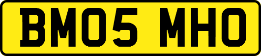 BM05MHO