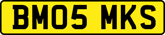 BM05MKS