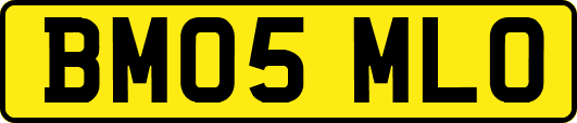 BM05MLO