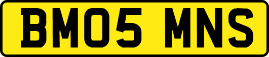 BM05MNS