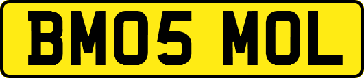 BM05MOL