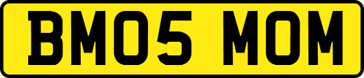 BM05MOM