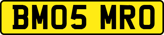 BM05MRO