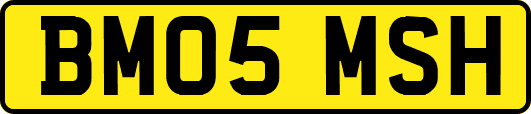 BM05MSH