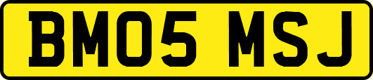 BM05MSJ