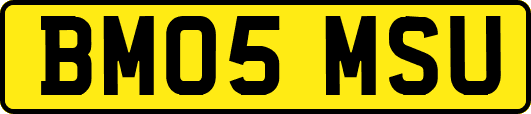 BM05MSU