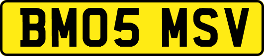 BM05MSV