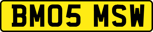 BM05MSW