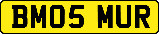 BM05MUR