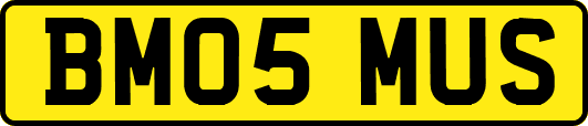 BM05MUS