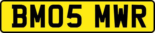 BM05MWR
