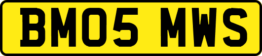 BM05MWS