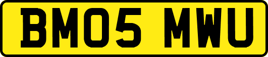 BM05MWU