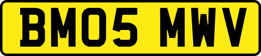 BM05MWV