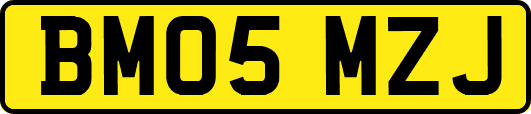 BM05MZJ