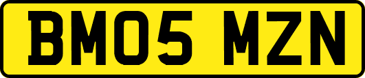 BM05MZN