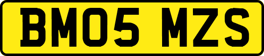 BM05MZS