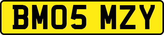 BM05MZY