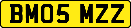 BM05MZZ
