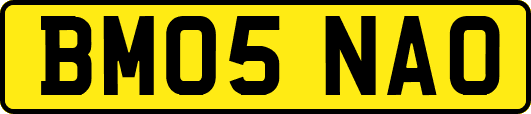 BM05NAO