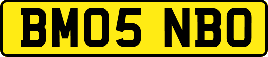 BM05NBO