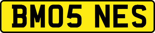 BM05NES