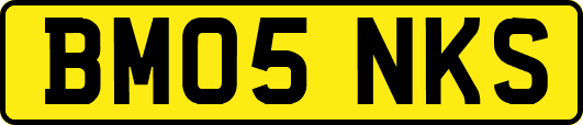 BM05NKS
