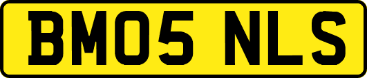 BM05NLS